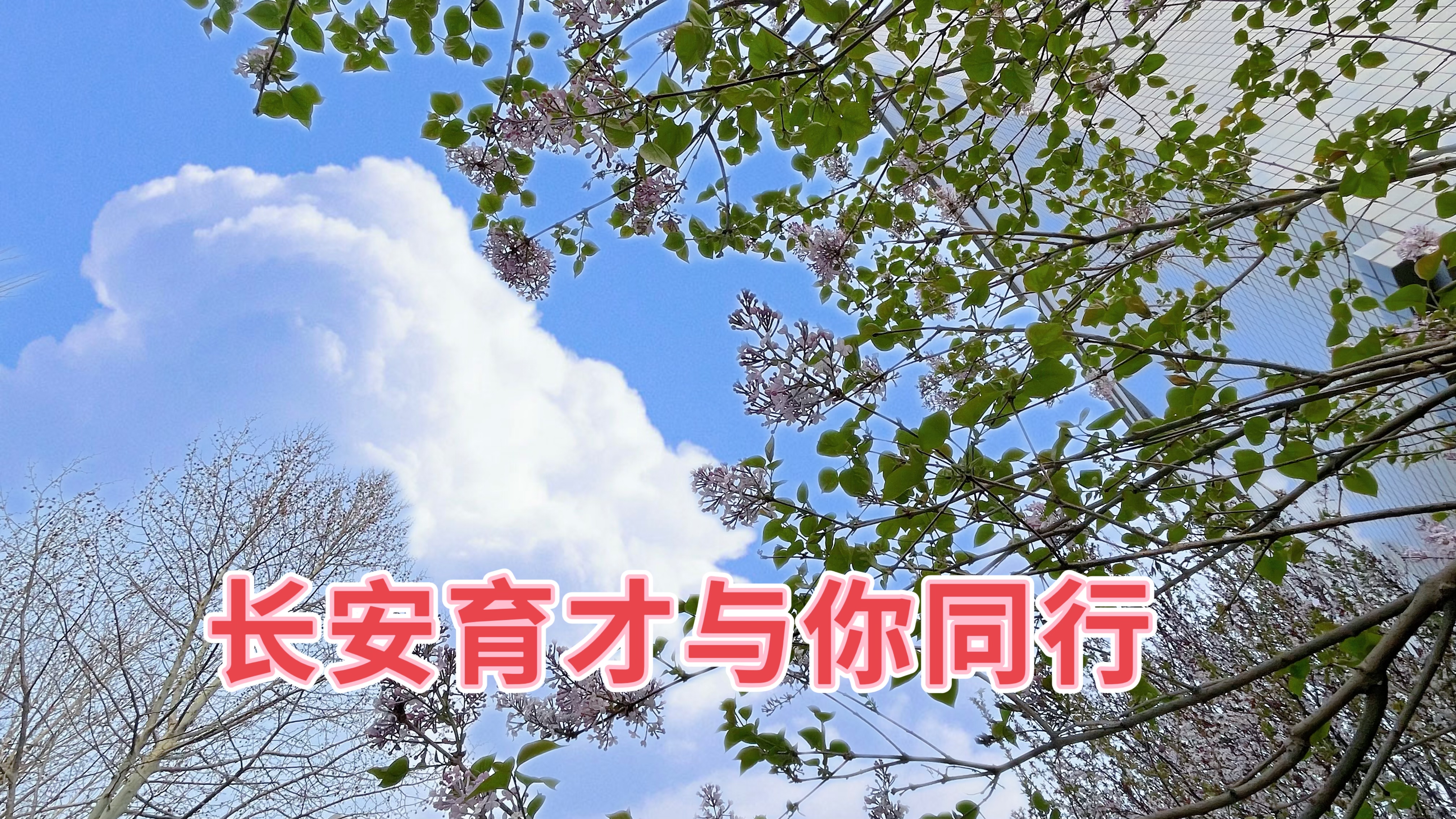 春分‖春日好時光，攜手共同行